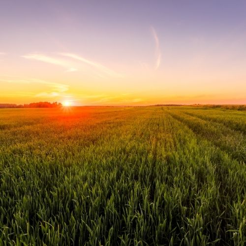 Kırıkhan Tarım Aletleri Resim Galerisi